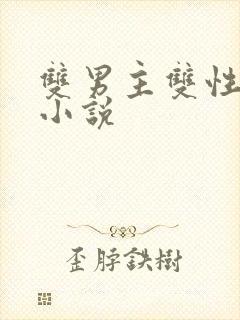 双男主双性高h小说封面