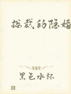 总裁的隐婚新娘