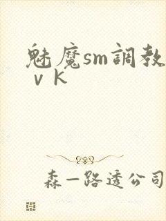 魅魔sm调教丨ⅴk封面