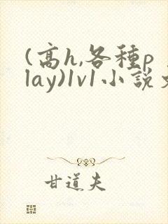 (高h,各种play)1v1小说文