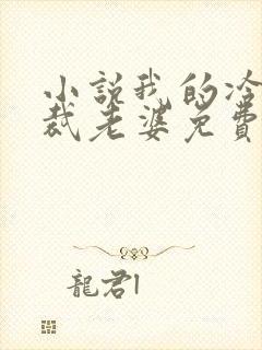 小说我的冷艳总裁老婆免费阅读