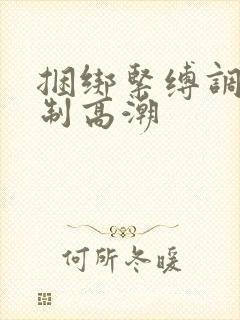 捆绑紧缚调教强制高潮封面