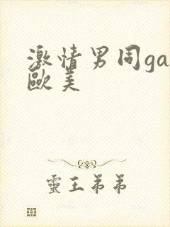 激情男同gay欧美封面