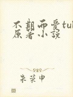 不期而爱tul原著小说