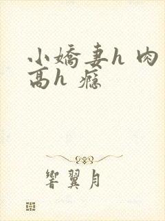 小娇妻h 肉 高h 瘾封面