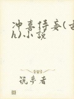 冲喜侍妾(古言h)小说