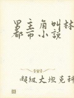 男主角叫林默的都市小说