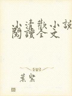 小清欢小说在线阅读全文