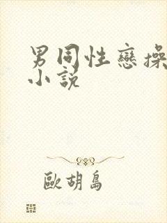 男同性恋操屁眼小说