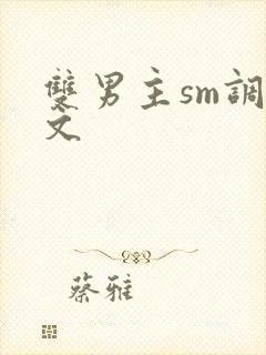 双男主sm调教文封面