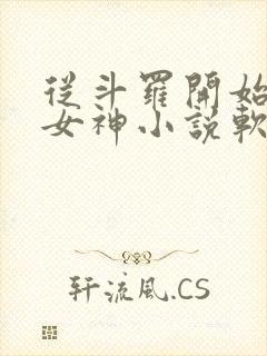 从斗罗开始俘获女神小说软件