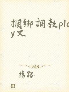 捆绑调教play文封面