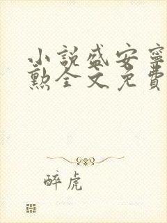 小说盛安宁周时勋全文免费阅读