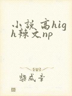 小说 高high辣文np