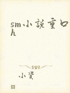 sm小说重口高h