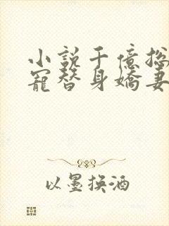 小说千亿总裁独宠替身娇妻完整版未删减小说封面