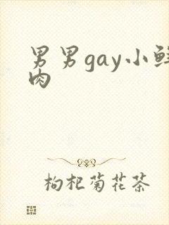 男男gay小鲜肉