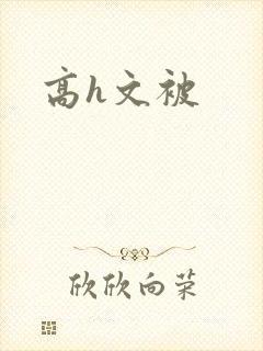 高h文被