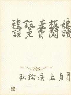 程钰老板娘的小说免费阅读无弹窗封面