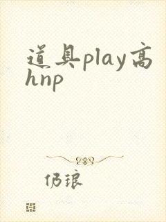 道具play高hnp