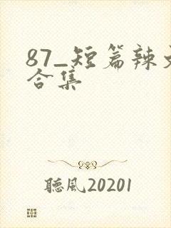 87_短篇辣文合集