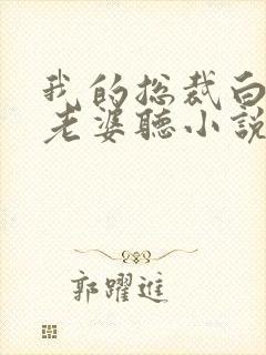 我的总裁白富美老婆听小说