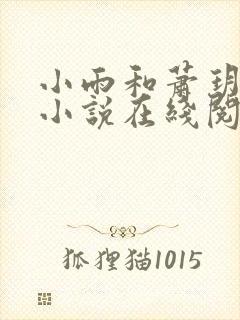 小雨和萧玥妈妈小说在线阅读