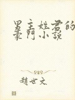 男主姓君的现代豪门小说