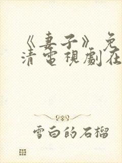 《妻子》免费高清电视剧在线封面