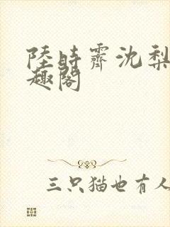 陆时霁沈梨初笔趣阁