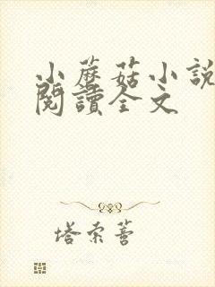 小蘑菇小说免费阅读全文