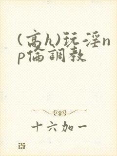 (高h)玩淫np伦调教封面