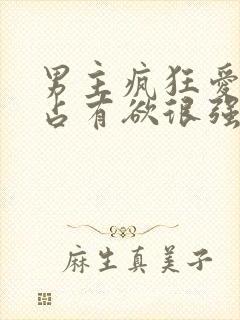 男主疯狂爱女主占有欲很强的小说