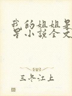 我的姐姐是大明星小说全文阅读