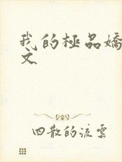 我的极品娇妻全文
