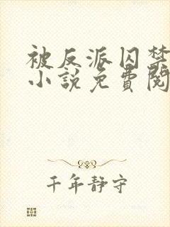 被反派囚禁之后小说免费阅读