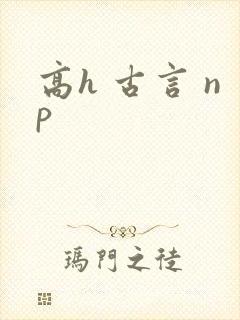 高h 古言 np