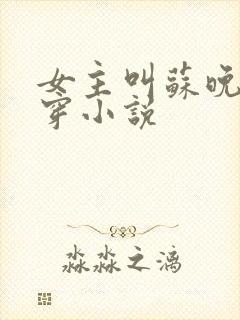 女主叫苏晚的快穿小说