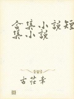 合集小说短篇合集小说封面