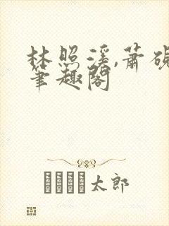 林照溪,萧砚川笔趣阁