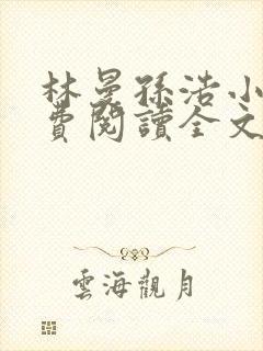 林曼孙浩小说免费阅读全文最新章节