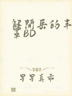 解开岳的丰满奶罩BD封面