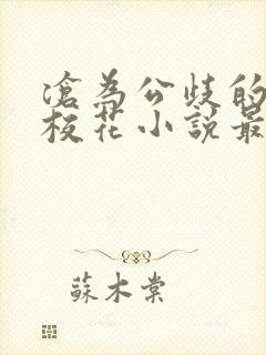 沧为公歧的清纯校花小说最新章节封面