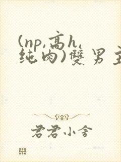 (np,高h,纯肉)双男主