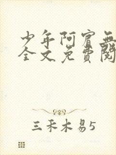 少年阿宾无删减全文免费阅读笔趣阁