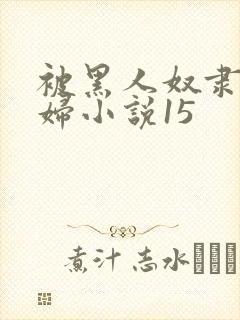 被黑人奴隶的少妇小说15封面