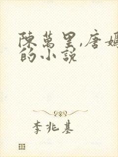 陈万里,唐嫣然的小说封面