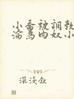 小乔被调教喷水沦为肉奴小说