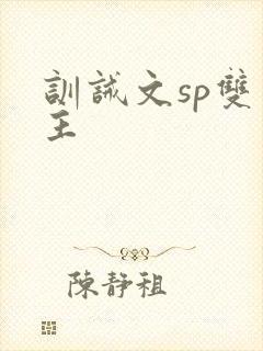 训诫文sp双男主