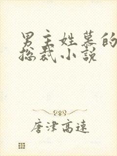 男主姓慕的所有总裁小说